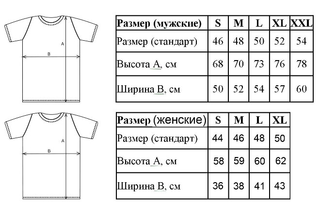 Зачем нужно выбирать правильный размер футболки?