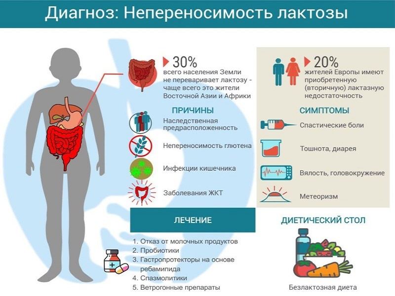 Когда мы говорим о продуктах, подходящих для людей с непереносимостью лактозы, необходимо обратить внимание на их содержание кальция и белка. Ведь именно эти элементы являются основными