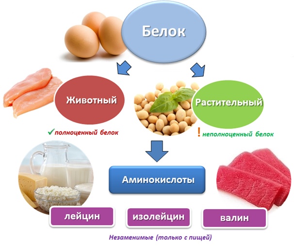 Суть вопроса касается границы между пользой и вредом. Белки, неоспоримо, являются важнейшими компонентами нашего питания и играют фундаментальную роль в функционировании роста и развития нашего организма. При окончательном решении, действительно ли белки могут быть вредными для нашего здоровья, мы должны изучить факторы, которые могут позволить им нанести вред или стать благоприятными для нас.