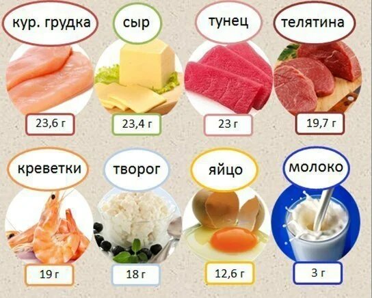 Исследуя принципы питания для наращивания мышц, нельзя не упомянуть о важности белковых веществ. Они занимают центральное место в жизнедеятельности каждой клетки вашего организма, являясь основой для синтеза белка – «строительного материала», необходимого для восстановления и роста тканей. Белки влияют на гормональный фон, обеспечивают иммунитет, являются незаменимыми источниками аминокислот. Но как найти золотую середину и определить оптимальное потребление этого неотъемлемого компонента вашего рациона питания?