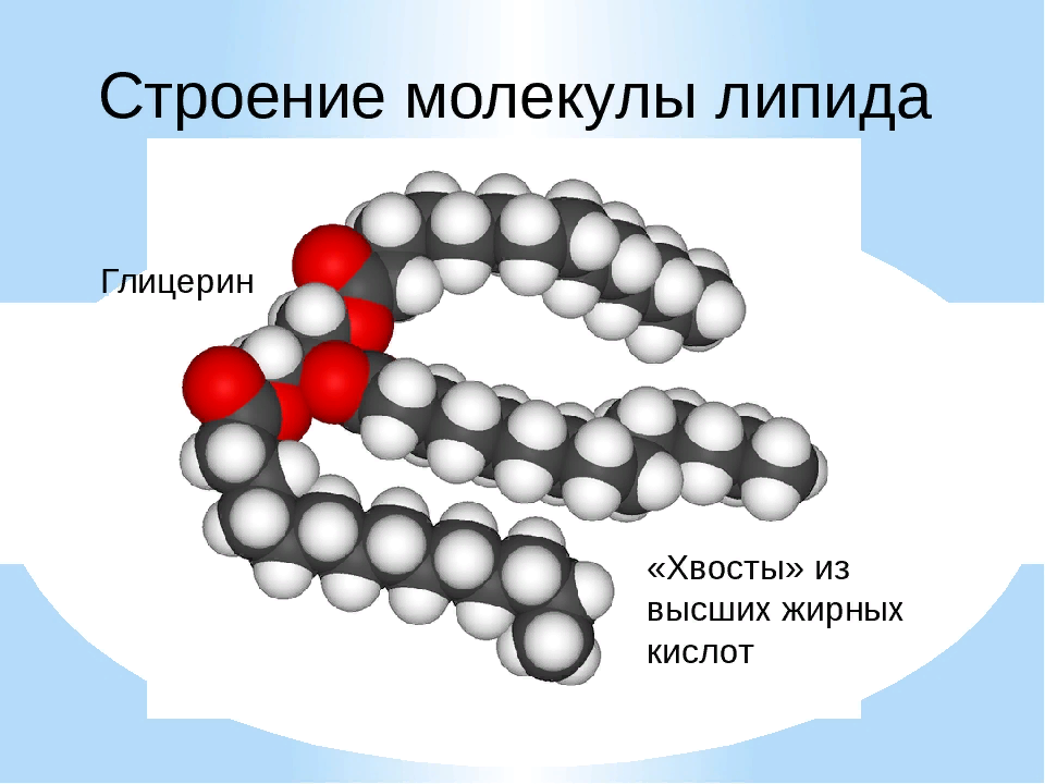 Устроены эти враги непросто – они обладают незаурядной способностью прятаться где угодно. Но если вы прочтете внимательно эти строки, то узнаете, где их найти, и сможете предотвратить их злодеяния. Они скрываются в нашем повседневном питании, притворяются полезными ингредиентами, но при этом на самом деле они никакой пользы нам не приносят. Как ниндзя, спрятанный в тени, они следят за каждым вашим шагом и подстерегают вас, желая установить тиранию над вашим здоровьем.