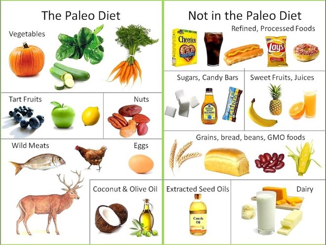 Одной из диет, которая пользуется особой популярностью, является Paleo-диета. Ее приверженцы утверждают, что она основана на принципах питания наших далеких предков, которые на протяжении тысячелетий питались только тем, что могли найти в природе.