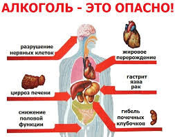 Мы все хорошо знаем, что алкоголь может иметь негативное влияние на организм и здоровье человека. Но что, если я скажу вам, что существует альтернативный подход к его употреблению, который минимизирует наносимый вред? Вместо того, чтобы задаваться вопросом