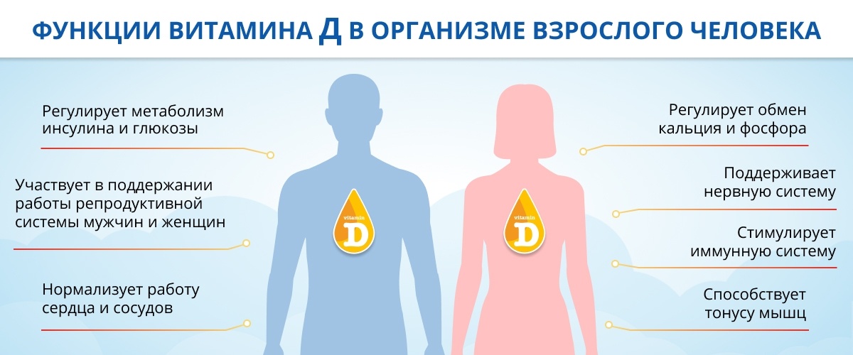 Позвоночник – одна из самых важных частей нашего организма. Он поддерживает нашу осанку, защищает спинной мозг и играет ключевую роль в мобильности тела. Однако, мало кто задумывается о том, какие факторы влияют на состояние позвоночника и его здоровье в целом.